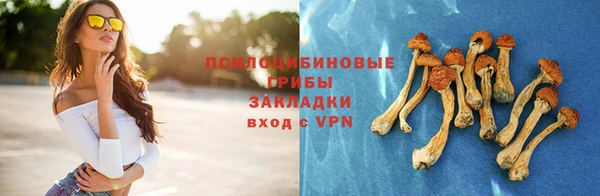 круглые Алзамай