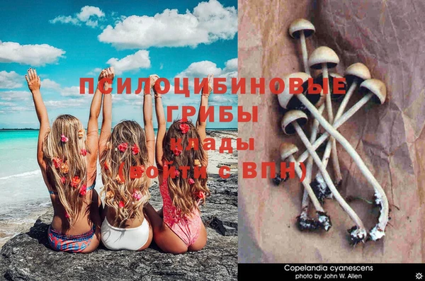 круглые Алзамай